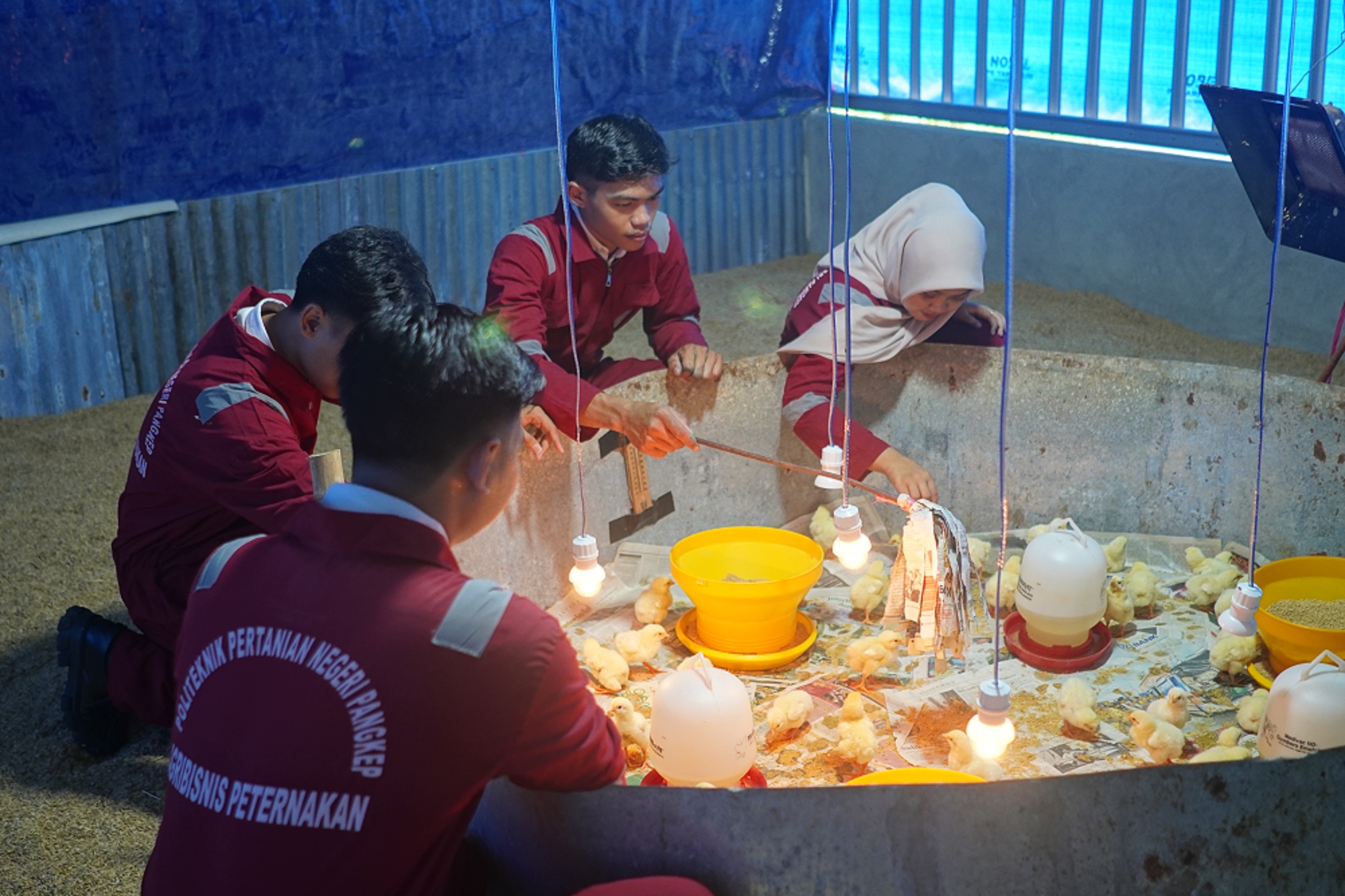 gambar-prodi